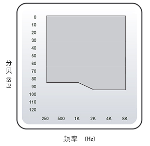 瑞克式助聽(tīng)器 RIC