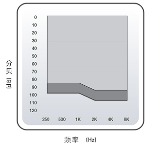 瑞克式助聽(tīng)器 RIC